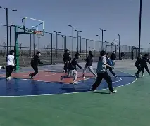 包含夏洛特黄蜂发布备战花絮，转会期战术微调，CBA常规赛任务艰巨，数据趋势出现新变化的词条