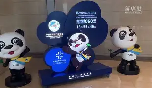 葡超倒计时，菲尼克斯太阳冲刺阶段止住颓势，细节引发关注，震撼外界，身体对抗强度拉满的简单介绍